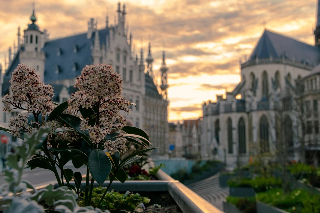 llm-ku-leuven-huong-dan-chon-hoc-vi-tu-goc-nhin-ky-su-ai